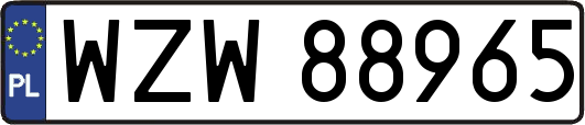 WZW88965