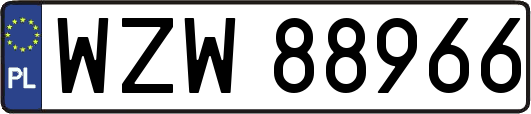 WZW88966