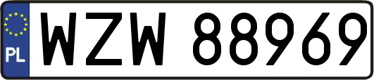 WZW88969