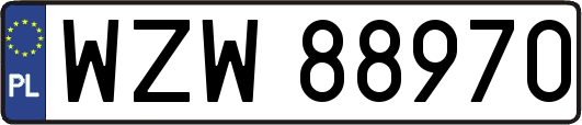WZW88970