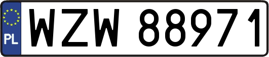 WZW88971