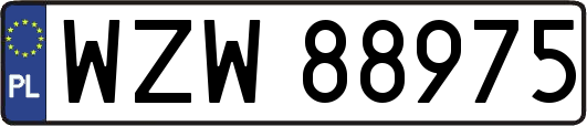 WZW88975