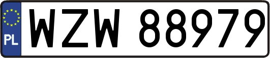WZW88979
