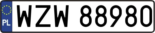 WZW88980