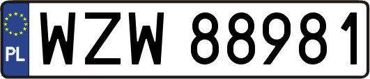 WZW88981