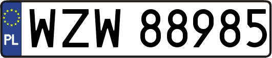WZW88985