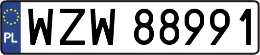 WZW88991