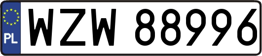WZW88996