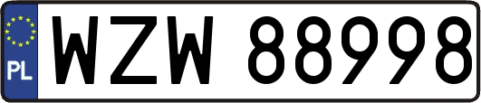 WZW88998