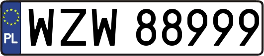 WZW88999