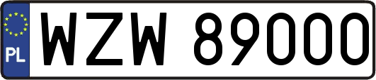 WZW89000