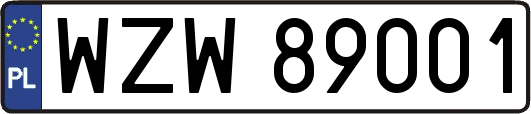 WZW89001