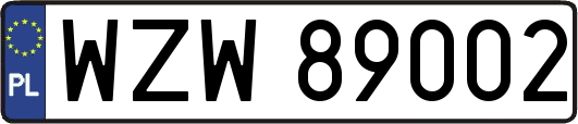 WZW89002