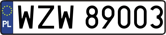 WZW89003