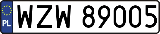 WZW89005
