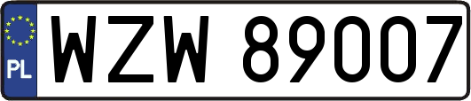 WZW89007
