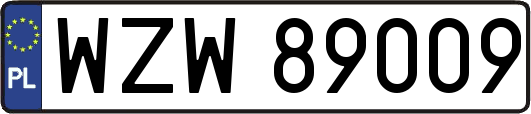 WZW89009