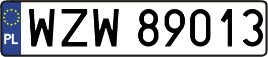 WZW89013