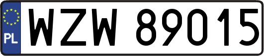 WZW89015