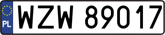 WZW89017