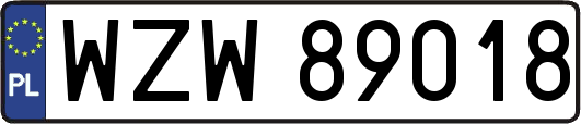 WZW89018