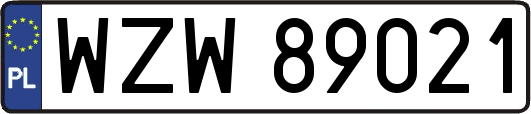 WZW89021