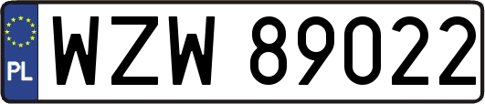 WZW89022