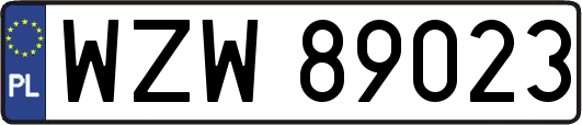 WZW89023