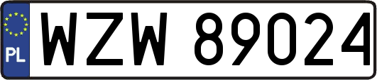 WZW89024