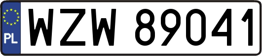 WZW89041