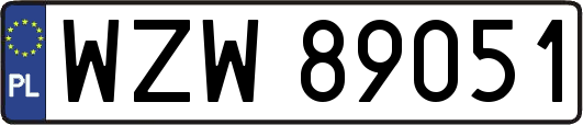 WZW89051