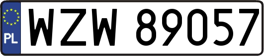 WZW89057
