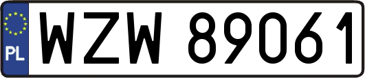 WZW89061