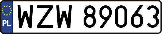 WZW89063