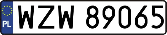 WZW89065