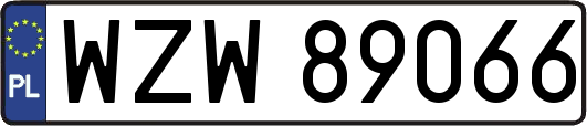 WZW89066