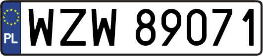 WZW89071