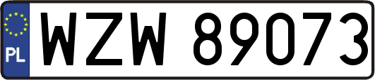 WZW89073