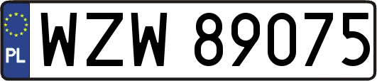 WZW89075