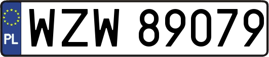 WZW89079
