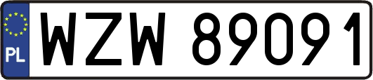 WZW89091