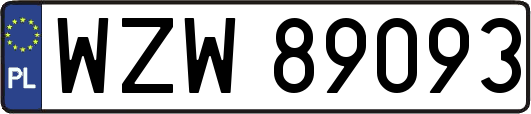 WZW89093
