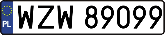 WZW89099