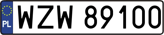 WZW89100