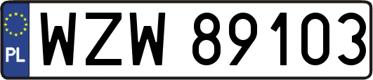 WZW89103