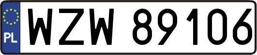 WZW89106