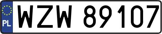 WZW89107