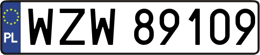 WZW89109