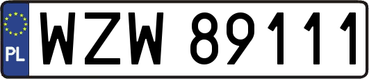 WZW89111