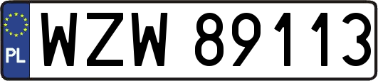 WZW89113